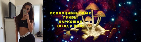 ECSTASY Баксан