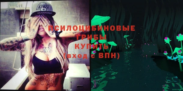 скорость Лиски